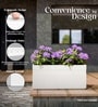 White German Polymer Rectangular Planter Gt 36 Inch
