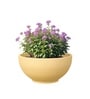 Beige German Polymer Round Planter Ktr 18 Inch