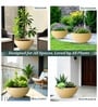 Beige German Polymer Round Planter Ktr 18 Inch