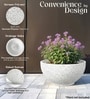 Marble White German Polymer Round Planter Ktr 18 Inch