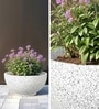 Marble White German Polymer Round Planter Ktr 18 Inch