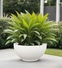 White German Polymer Round Planter Ktr 18 Inch