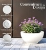 White German Polymer Round Planter Ktr 18 Inch