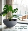 Grey German Polymer Round Planter Ktr 24 Inch