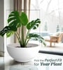 White German Polymer Round Planter Ktr 24 Inch