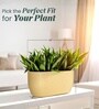 Beige German Polymer Rectangular Planter Pctr 24 Inch