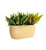 Beige German Polymer Rectangular Planter Pctr 24 Inch