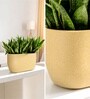 Beige German Polymer Rectangular Planter Pctr 24 Inch