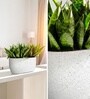 Marble White German Polymer Rectangular Planter Pctr 24 Inch