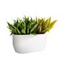 White German Polymer Rectangular Planter Pctr 24 Inch