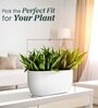 White German Polymer Rectangular Planter Pctr 24 Inch