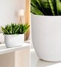 White German Polymer Rectangular Planter Pctr 24 Inch