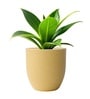 Beige German Polymer Round Planter Pcup 10 Inch