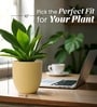 Beige German Polymer Round Planter Pcup 10 Inch