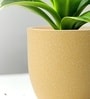 Beige German Polymer Round Planter Pcup 10 Inch