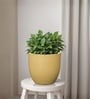 Beige German Polymer Round Planter Pcup 10 Inch