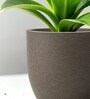 Choco Brown German Polymer Round Planter Pcup 10 Inch