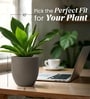 Choco Brown German Polymer Round Planter Pcup 10 Inch