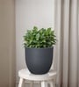 Grey German Polymer Round Planter Pcup 10 Inch