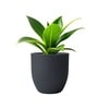 Grey German Polymer Round Planter Pcup 10 Inch