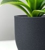 Grey German Polymer Round Planter Pcup 10 Inch