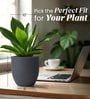 Grey German Polymer Round Planter Pcup 10 Inch