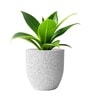 Marble White German Polymer Round Planter Pcup 10 Inch