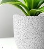 Marble White German Polymer Round Planter Pcup 10 Inch