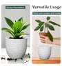 Marble White German Polymer Round Planter Pcup 10 Inch