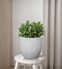 Marble White German Polymer Round Planter Pcup 10 Inch