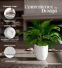 Marble White German Polymer Round Planter Pcup 10 Inch