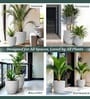 Marble White German Polymer Round Planter Pcup 10 Inch