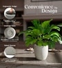 Victoria Grey German Polymer Round Planter Pcup 10 Inch