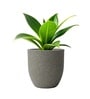 Victoria Grey German Polymer Round Planter Pcup 10 Inch
