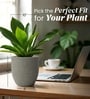 Victoria Grey German Polymer Round Planter Pcup 10 Inch