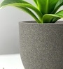 Victoria Grey German Polymer Round Planter Pcup 10 Inch