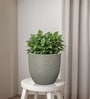 Victoria Grey German Polymer Round Planter Pcup 10 Inch
