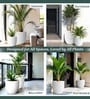 White German Polymer Round Planter Pcup 10 Inch