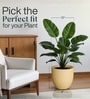 Beige German Polymer Round Planter Pcup 12 Inch