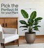 Choco Brown German Polymer Round Planter Pcup 12 Inch