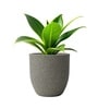 Victoria Grey German Polymer Round Planter Pcup 12 Inch