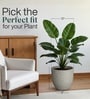 Victoria Grey German Polymer Round Planter Pcup 12 Inch