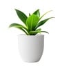 White German Polymer Round Planter Pcup 12 Inch