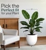 White German Polymer Round Planter Pcup 12 Inch
