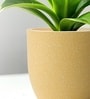 Beige German Polymer Round Planter Pcup 15 Inch