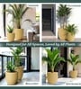 Beige German Polymer Round Planter Pcup 15 Inch