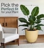 Beige German Polymer Round Planter Pcup 15 Inch