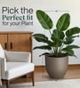 Choco Brown German Polymer Round Planter Pcup 15 Inch