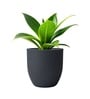 Grey German Polymer Round Planter Pcup 15 Inch