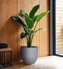 Grey German Polymer Round Planter Pcup 15 Inch